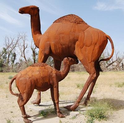 Скульптуры верблюдов из металла